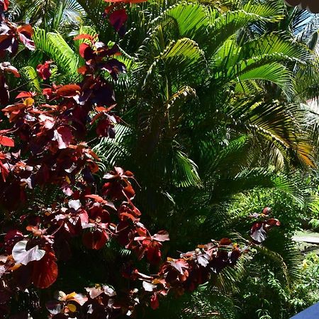 Jardin Sur Mer テール・ド・オー エクステリア 写真