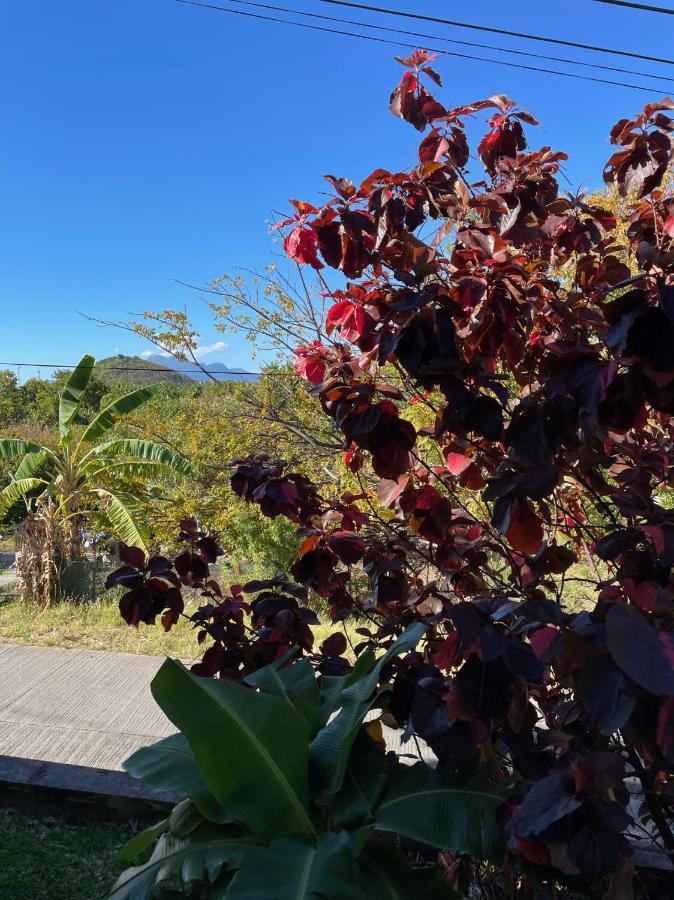Jardin Sur Mer テール・ド・オー エクステリア 写真