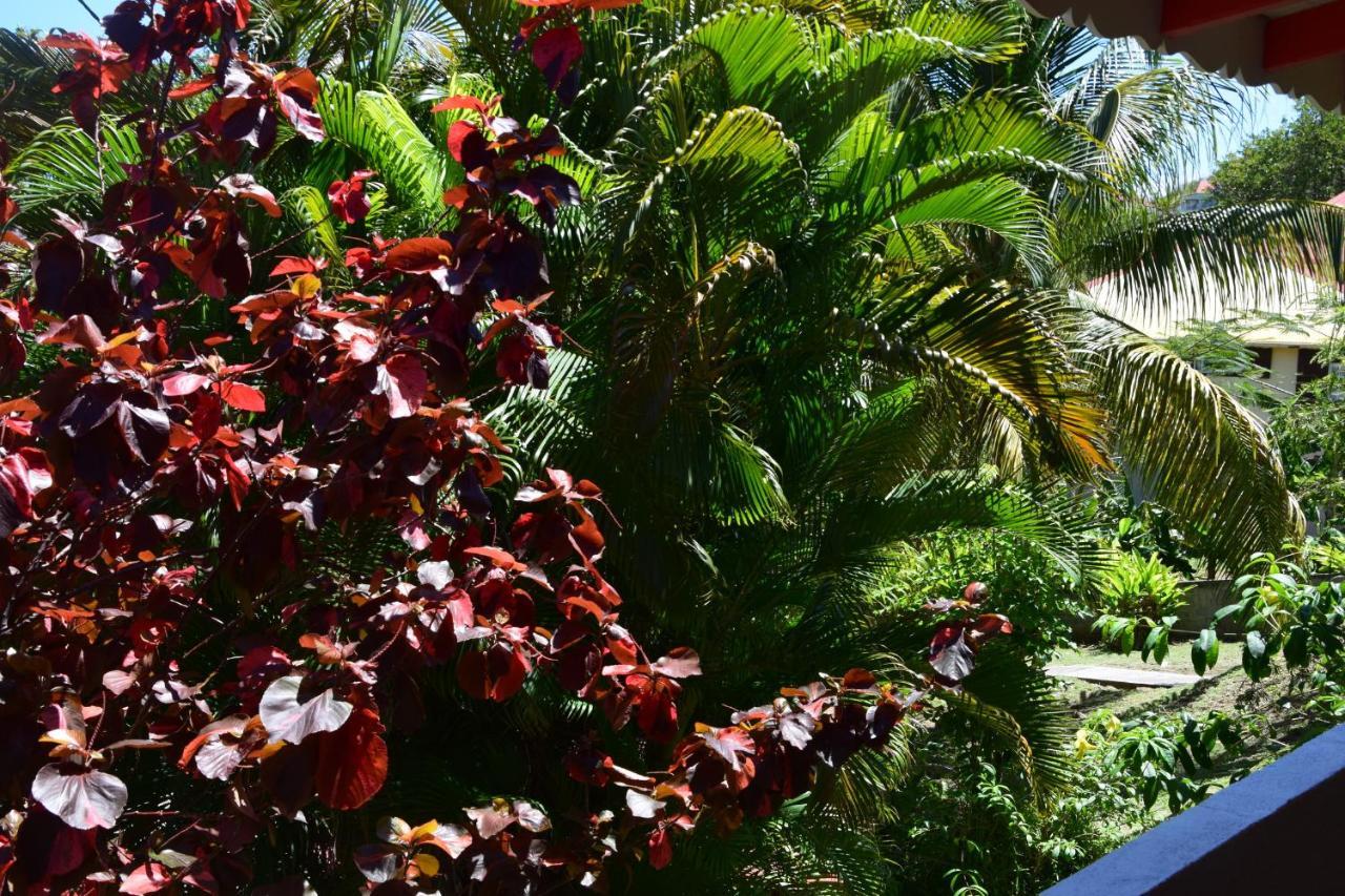Jardin Sur Mer テール・ド・オー エクステリア 写真