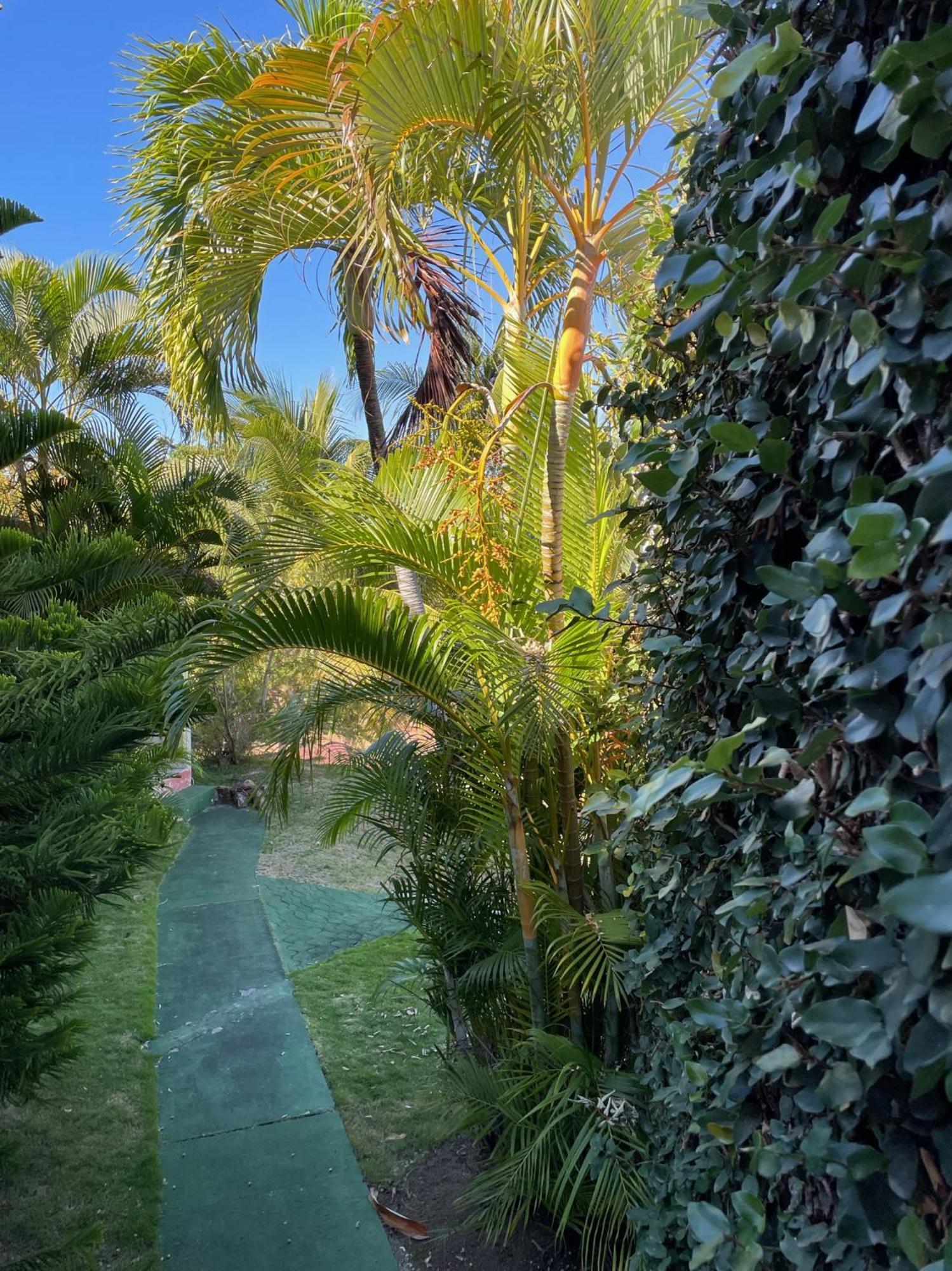 Jardin Sur Mer テール・ド・オー エクステリア 写真